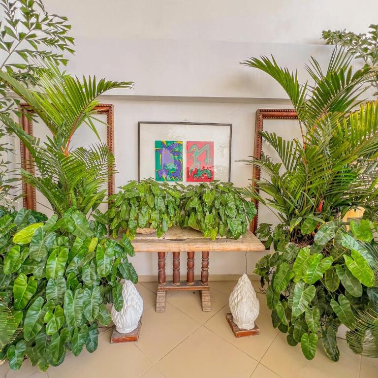 Apartment Near Downtown and the Beach - Three-Bedroom Apartment - 4