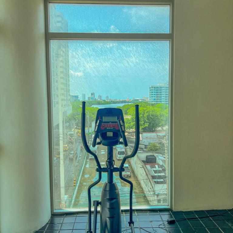 Apartment Near Downtown and the Beach - Three-Bedroom Apartment - 30
