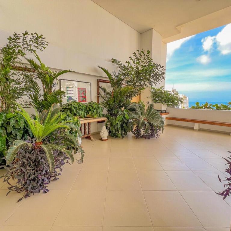 Apartment Near Downtown and the Beach - Three-Bedroom Apartment - 32