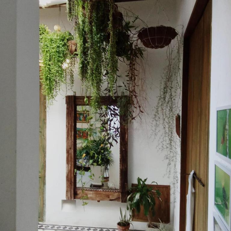 Walled City 2-bedroom 2-bath Apartment with Patio - One-Bedroom Apartment - 9