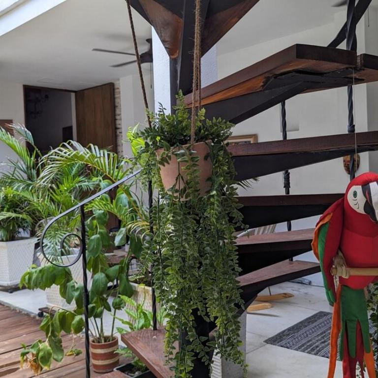 Walled City 2-bedroom 2-bath Apartment with Patio - One-Bedroom Apartment - 29