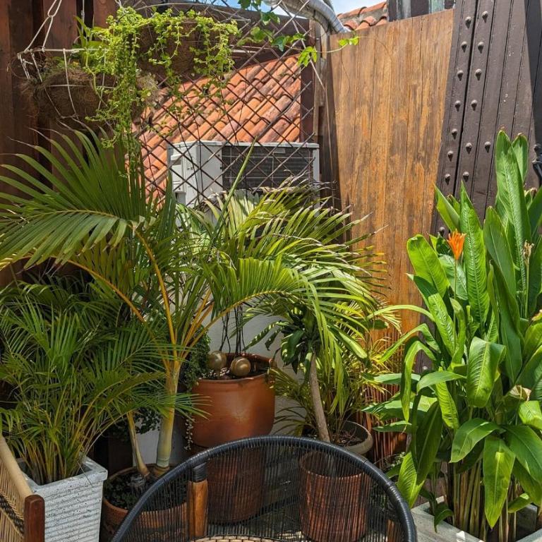 Walled City 2-bedroom 2-bath Apartment with Patio - One-Bedroom Apartment - 35