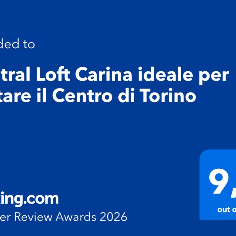 Central Loft Carina ideale per visitare il Centro di Torino - Appartamento Monolocale - 63