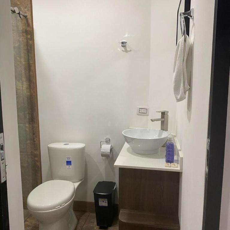 Laureles Executive Suites La 70 Medellin - Apartment - 6