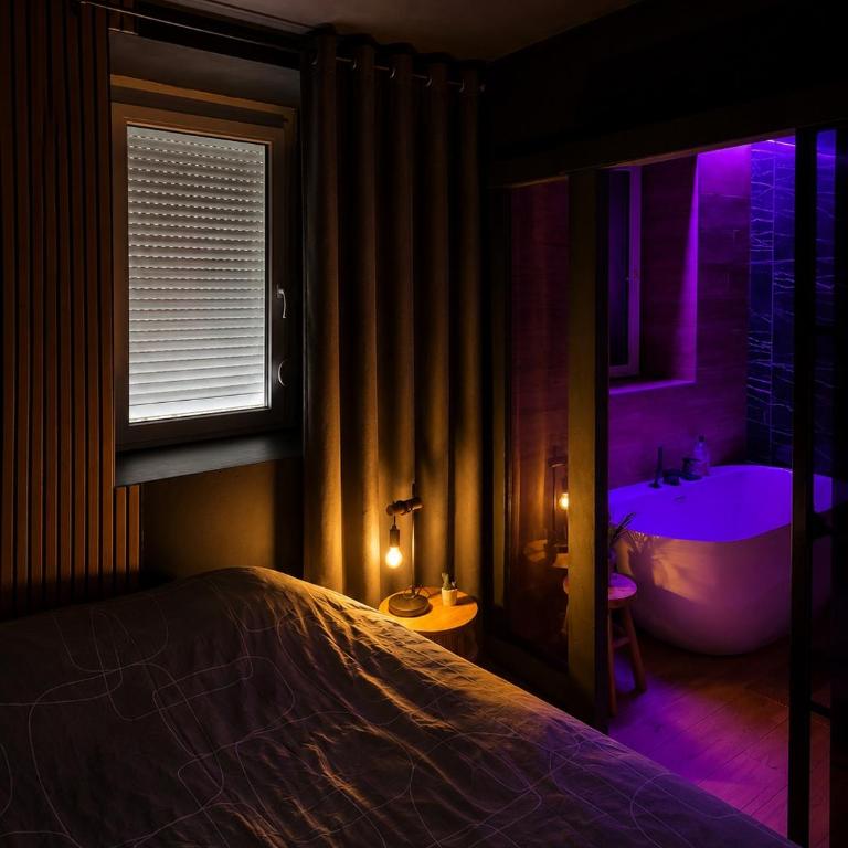 Éclipse suite avec bain privatif - Apartment mit 1 Schlafzimmer - 3