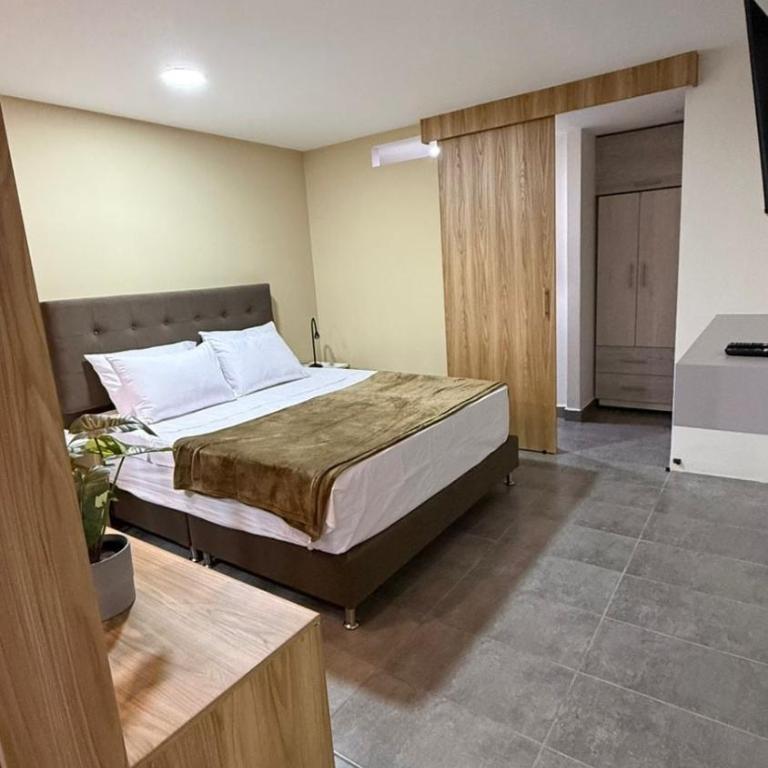 Comfortable Loft in the Middle of La Candelaria - One-Bedroom Apartment - 2