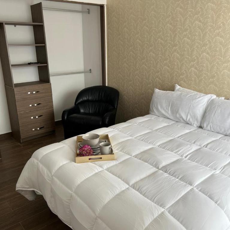 Casa Familiar con amplio jardin asador y cochera - Villa de 2 dormitorios - 9