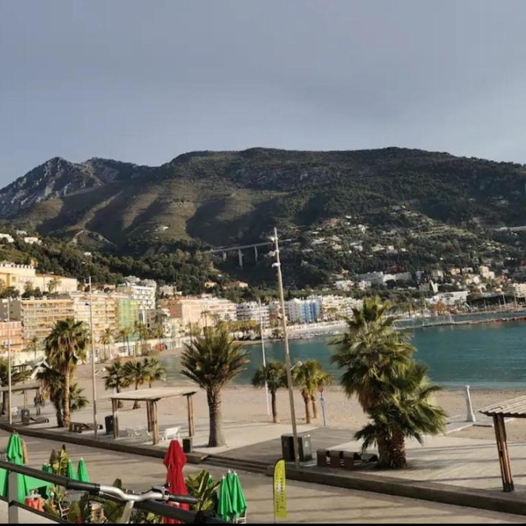 Menton French Riviera - Appartement 1 Chambre - 11