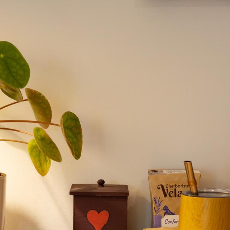 Suite Zen avec coin salon et vue sur jardin - Studio avec Vue sur Jardin - 8