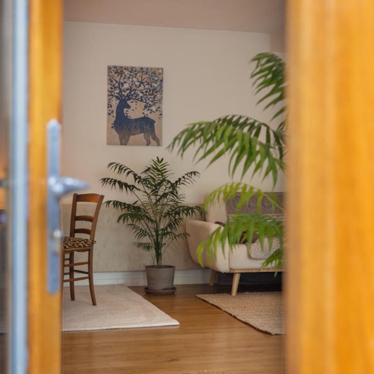 Suite Zen avec coin salon et vue sur jardin - Studio avec Vue sur Jardin - 7