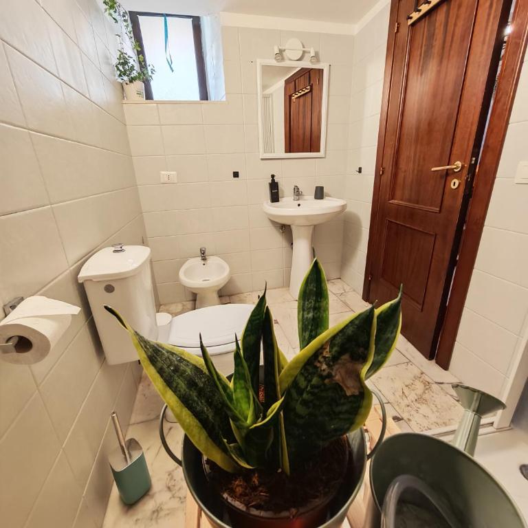 Il loft di Serena - Appartamento con 1 Camera da Letto - 5