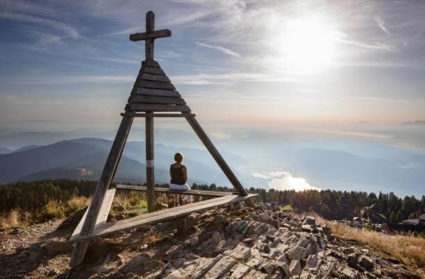 ALPENLOFT vom Berg zum See inklusive gratis KärntenCard - Apartment mit 2 Schlafzimmern - 51