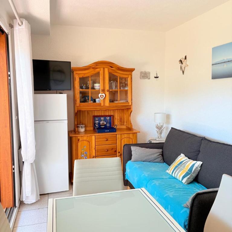 St Cyprien rez de jardin ensoleille proche plage - Apartment - 13