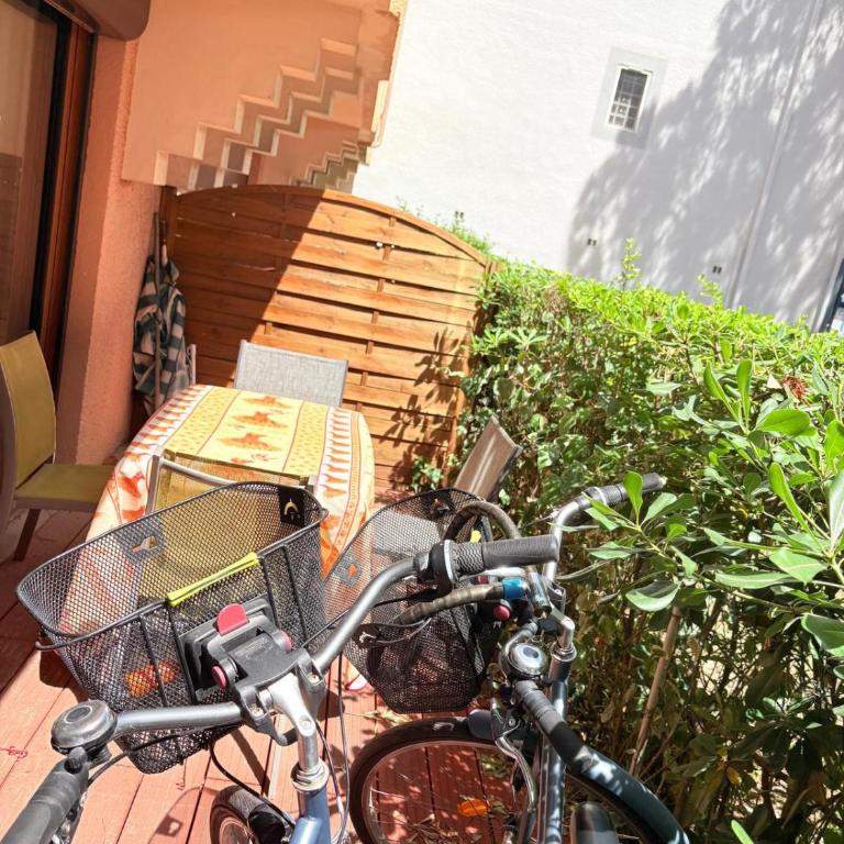 St Cyprien rez de jardin ensoleille proche plage - Apartment - 17