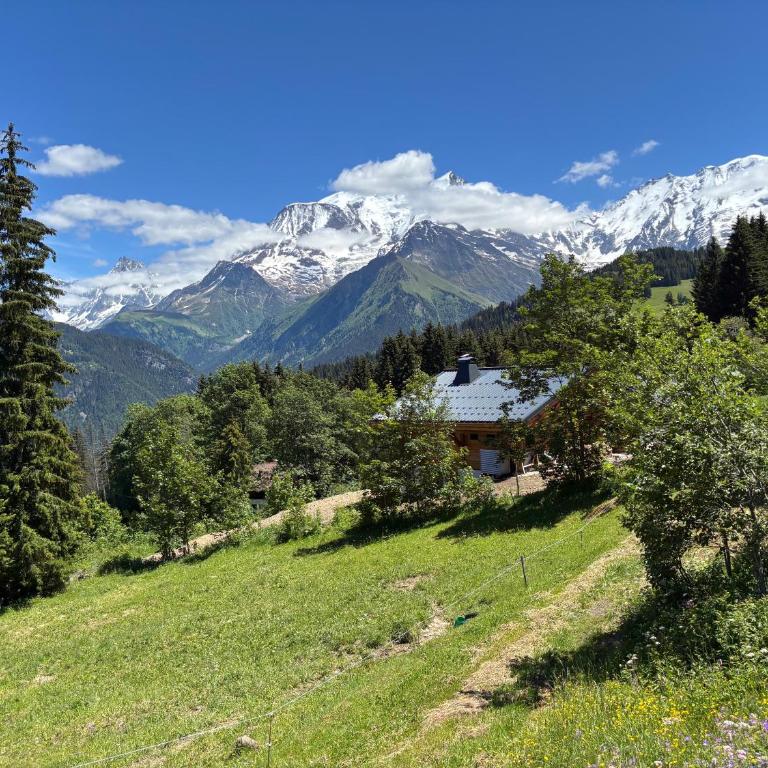 Chalet de l'Emey - 12 pers - Chalet Supérieur - 3