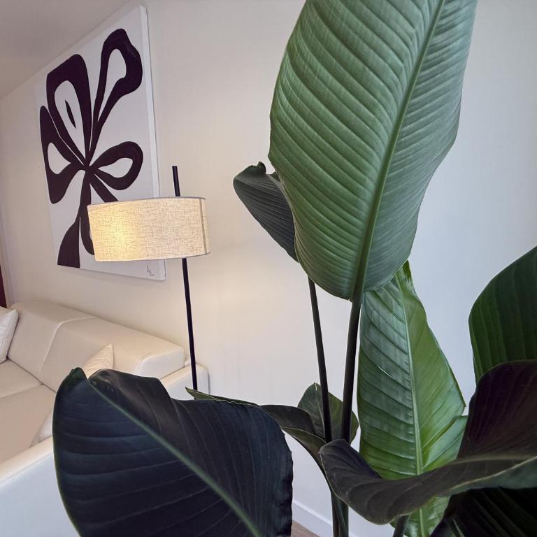 Madrid Urban Loft - Apartamento Deluxe - 11