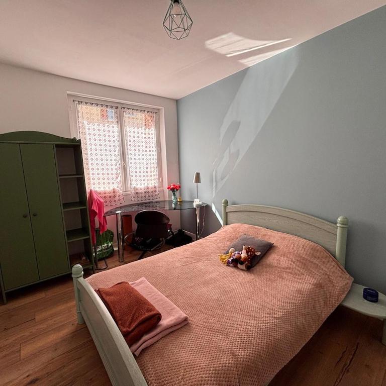 Grand appartement Lumineux dans le coeur de Clermont - Apartamento - 2