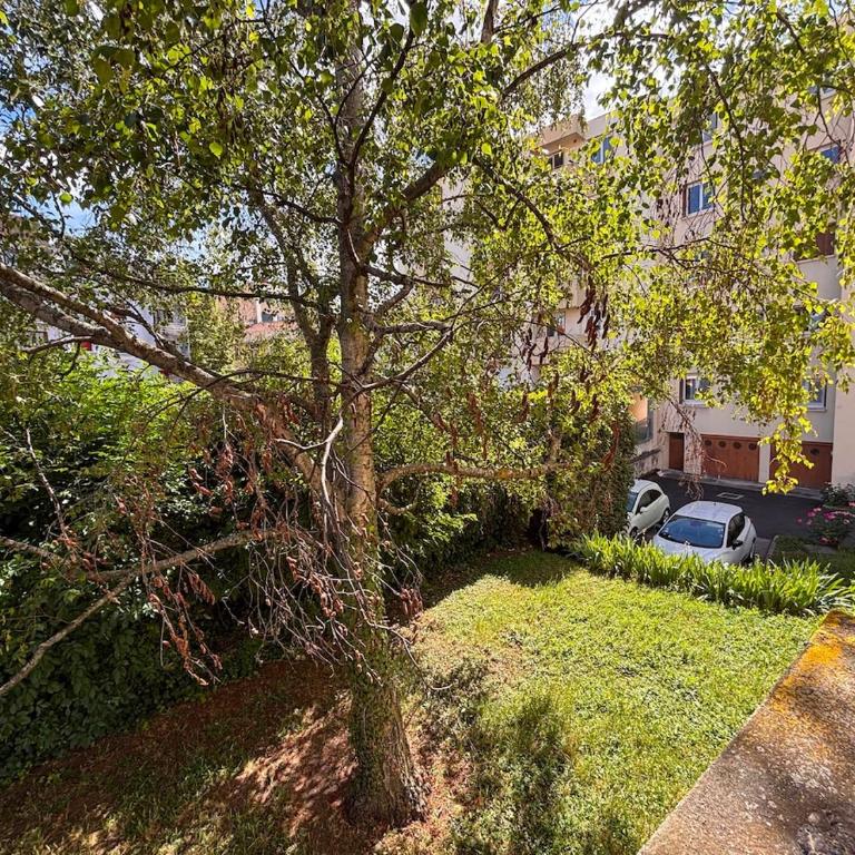 Grand appartement Lumineux dans le coeur de Clermont - Apartamento - 5