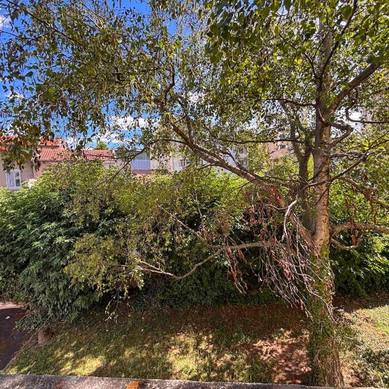Grand appartement Lumineux dans le coeur de Clermont - Apartamento - 13