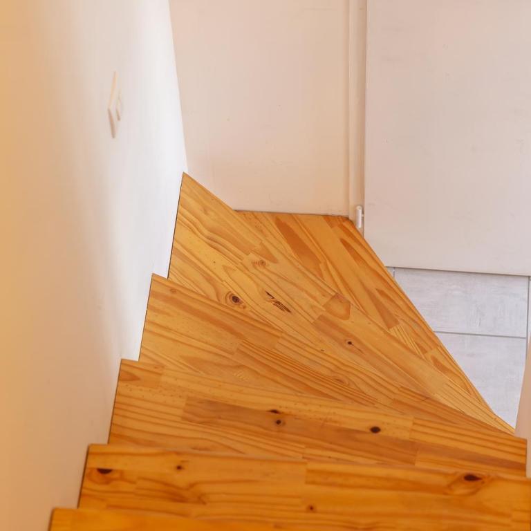 Magnolia - Le Jardin des Plantes - One-Bedroom Apartment - 11