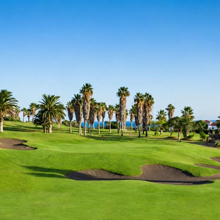 Golf Park Sunny Cozy Penthouse near the Ocean with large double terraces, fiber WIFI, 3 pools, NEW bbq South Tenerife - Apartamento con terraza - 53