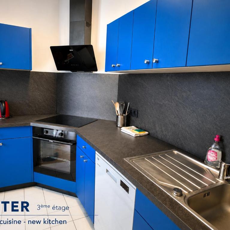 Strasbourg Appart Rue du 22 Novembre - Apartamento Netter de 2 dormitorios y sala de estar - 13