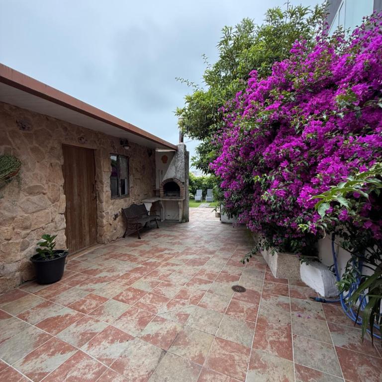 Casa de Joaquina - Ferienhaus - 37