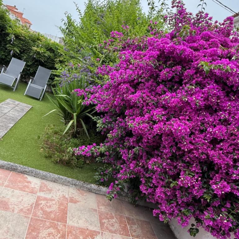 Casa de Joaquina - Ferienhaus - 30