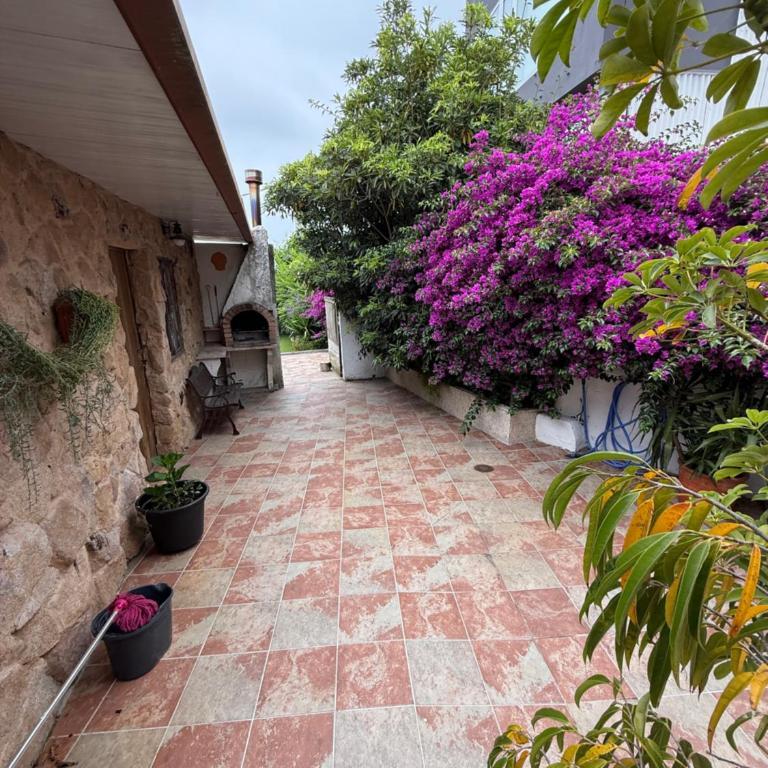 Casa de Joaquina - Ferienhaus - 32
