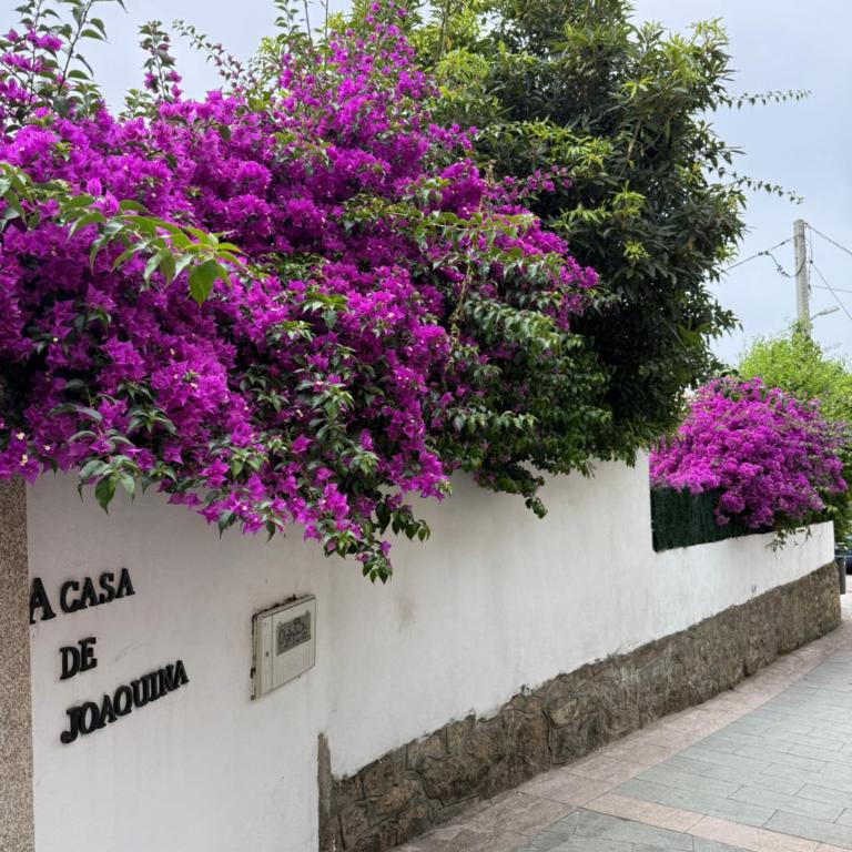 Casa de Joaquina - Ferienhaus - 44