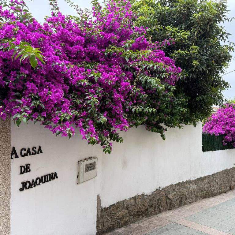 Casa de Joaquina - Ferienhaus - 50