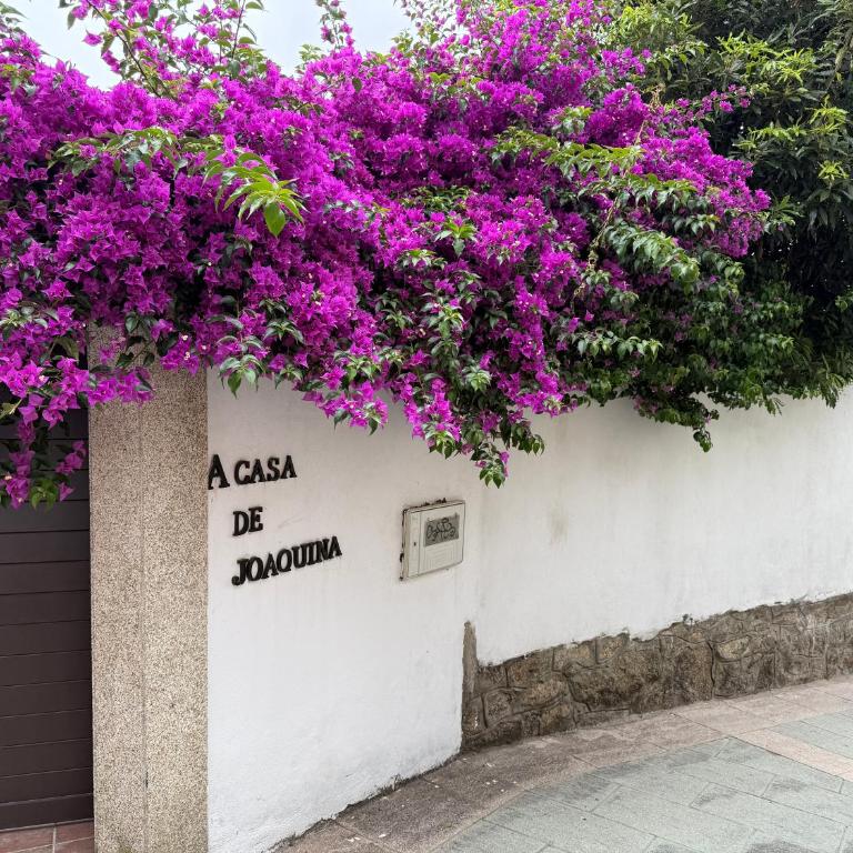 Casa de Joaquina - Ferienhaus - 51