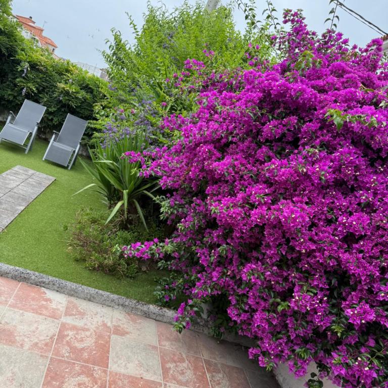 Casa de Joaquina - Ferienhaus - 53