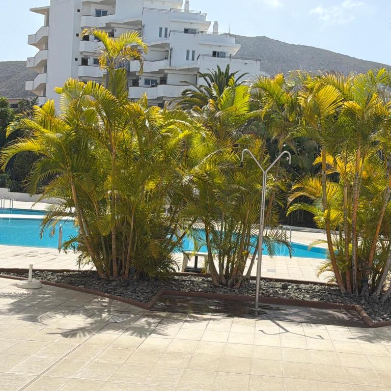 casa Hermosa - Apartamento de 2 dormitorios - 3