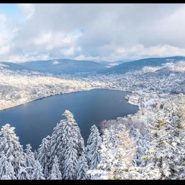 Appartement de prestige au cœur de Gérardmer - Appartement - 25