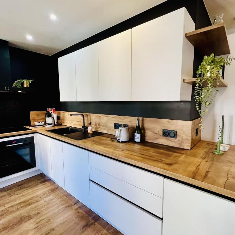 Luxury full center and near Lake! - Appartement - 5