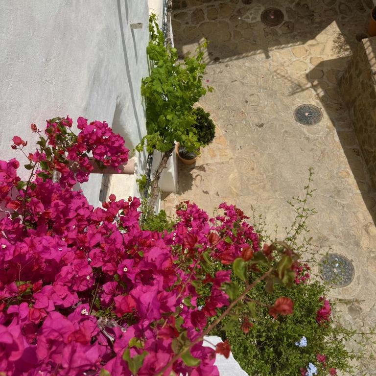Charming Historic Townhouse with a Patio and Private Terrace in Mojácar Pueblo - Casa con 2 Camere da Letto - 27