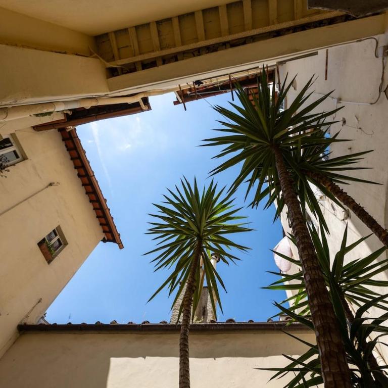 Secret Garden in Santo Spirito - Two-Bedroom Apartment - 18