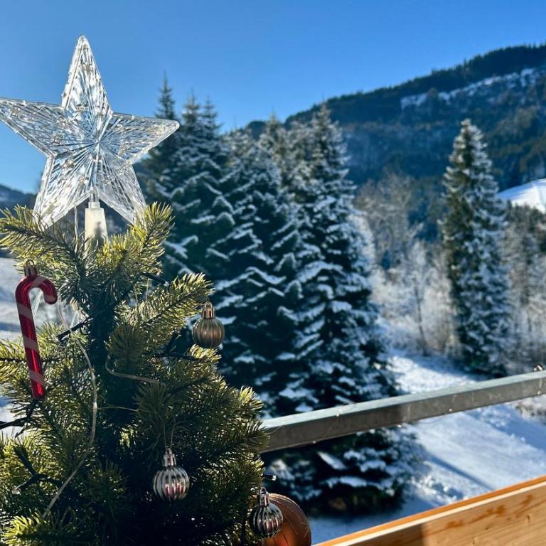 Berghof Ellmau - Apartment mit 2 Schlafzimmern - 14