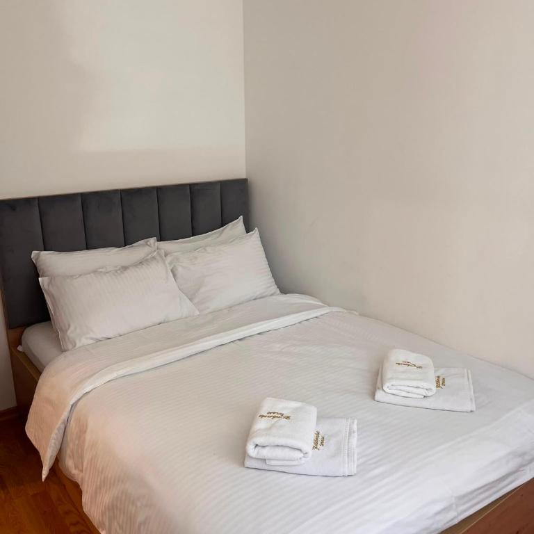 Apartman Atina Zlatibor - One-Bedroom Apartment - 5