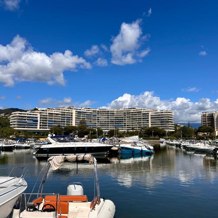 Studio sur la marina avec terrasse et piscine - Studio - 11