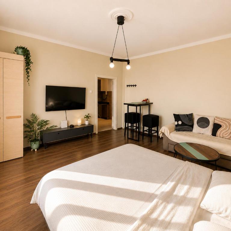 L Apartment Obilic - Studio - 5