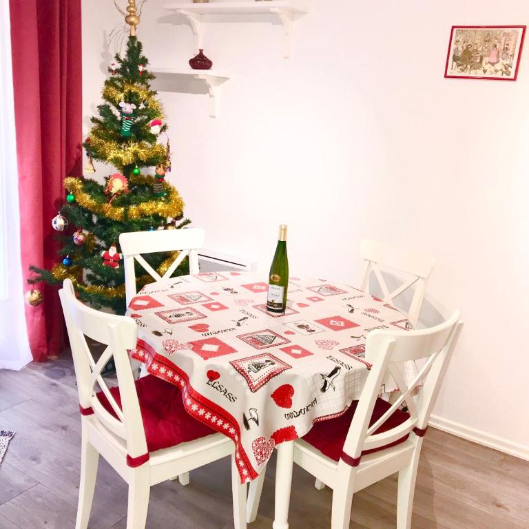 Lisela Cosy Meublé 3 étoiles Colmar à 250m du centre touristique, à côté de la route des vins - Apartment - 4