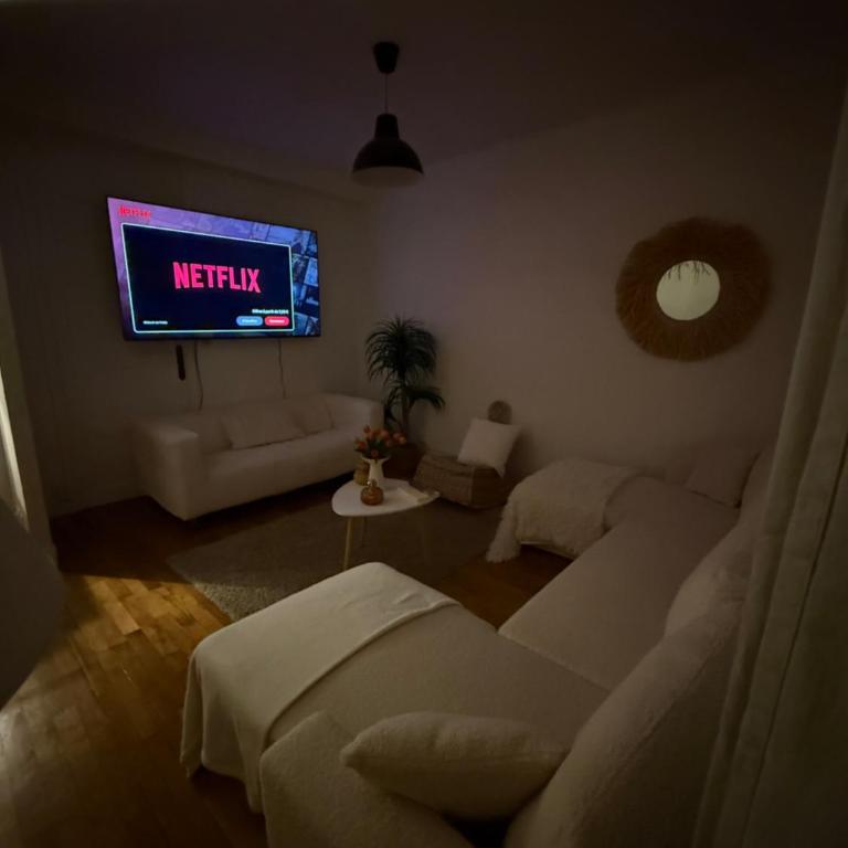 grand appartement en plein centre - Appartamento con 1 Camera da Letto - 4