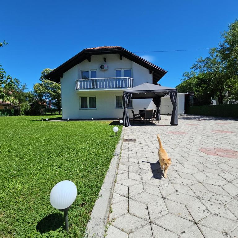 Villa Aylin - Villa - Vue sur Jardin - 63
