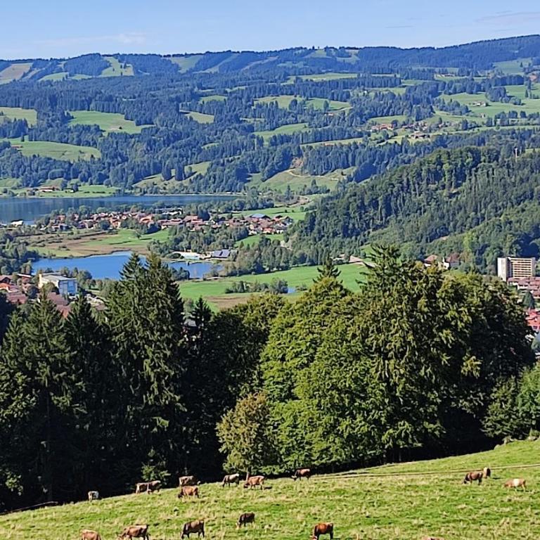 Ferienhaus Gabriela Allgäu - Haus mit 3 Schlafzimmern - 44