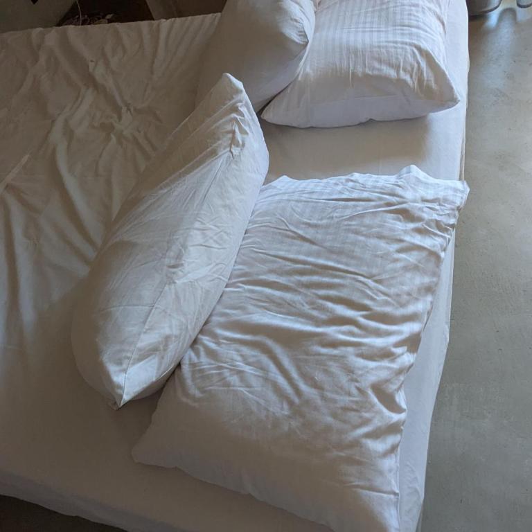 Maison Licurici Avec piscine - Appartement 1 Chambre - 14