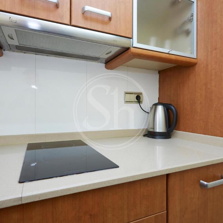 Paseo de Gracia - Casa Batllo apartment - Apartamento de 1 dormitorio - 6