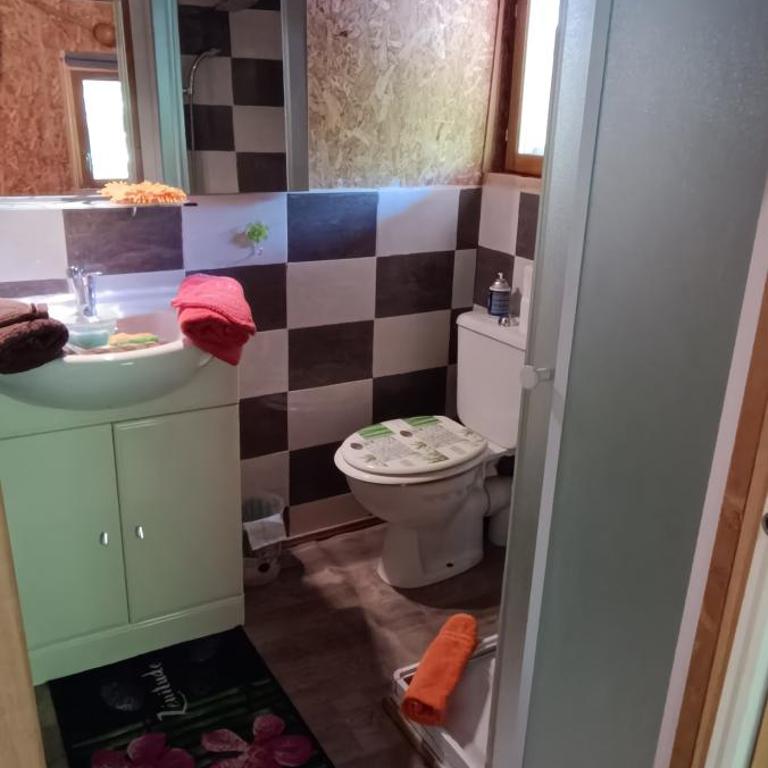 Chalet de la Grave - Chalet 1 Chambre - 11