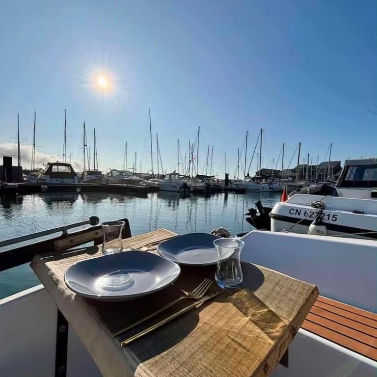 Voilier cosy au port de Deauville Vue sur marina - Mobile Home - 1